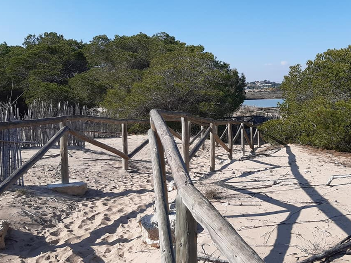 parc-natural-dunes-de-pinet