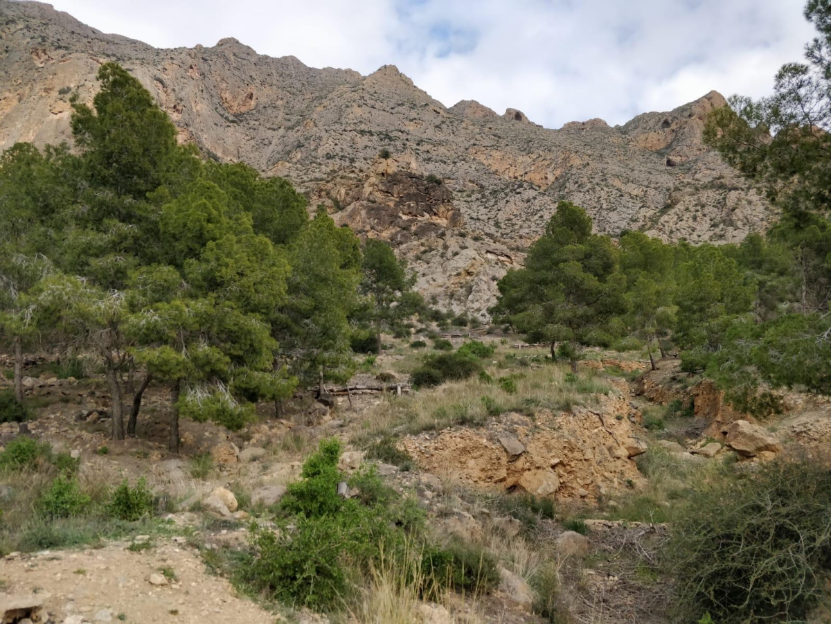 sierra-de-callosa-de-segura